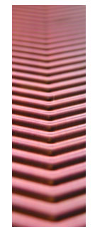 type2
